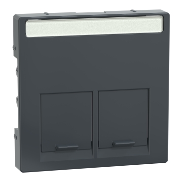 Placa Centrala dubla pentru Conector-Schneider Electric Rj45, Antracit