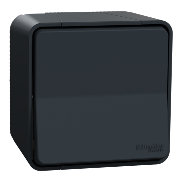 Mureva intrerupator cap scara, PT  gri