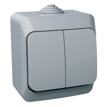 Cedar Plus, Intrerupator dublu 16A PT indicator luminos, gri